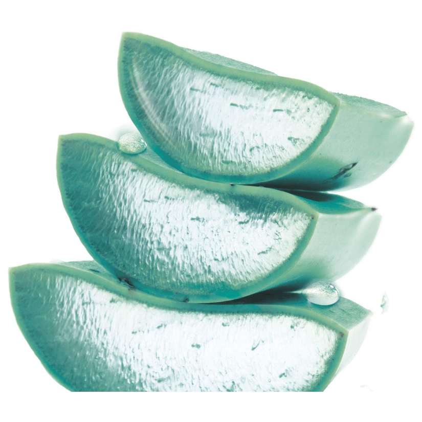 Garnier Hyaluronic Aloe Gel Wash 200ml